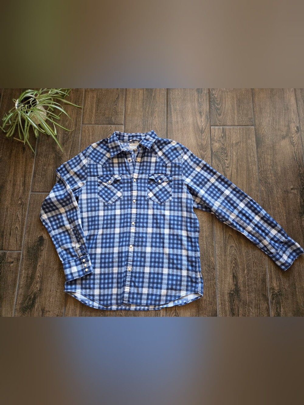 Denim and Supply Ralph Lauren Blue Plaid Western Cotton Flannel Button Up Sz Lg